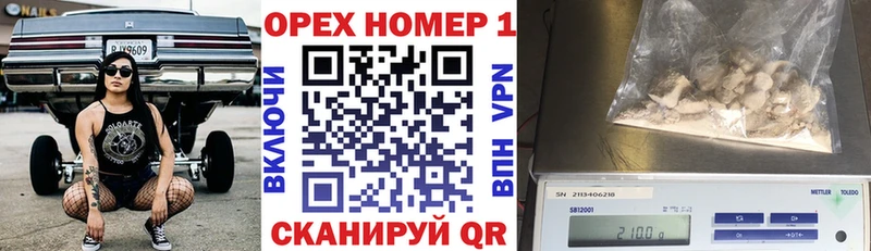 Кокаин Fish Scale  Купить закладки  Зеленогорск 